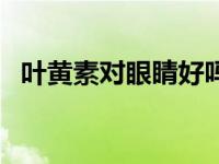 叶黄素对眼睛好吗（叶黄素对眼睛的作用）