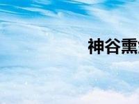 神谷熏剑心（神谷熏）