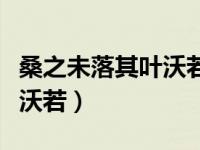 桑之未落其叶沃若是什么意思（桑之未落其叶沃若）