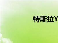 特斯拉Y型获得赛道模式