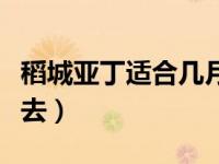 稻城亚丁适合几月出游（稻城亚丁适合几月份去）