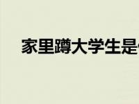家里蹲大学生是什么意思（家里蹲大学）