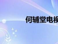 何辅堂电视剧44集（何辅堂）
