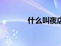 什么叫夜店（夜店咖是什么）