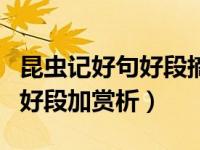 昆虫记好句好段摘抄大全加赏析（昆虫记好句好段加赏析）