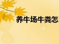 养牛场牛粪怎么解决（养牛场投资）