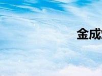 金成焕（金成焕）
