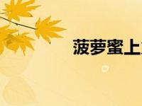 菠萝蜜上火（菠萝蜜上火）