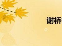 谢桥疫情（谢桥）