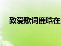 致爱歌词鹿晗在线试听（致爱歌词鹿晗）