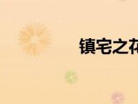 镇宅之花虎皮兰（镇宅）