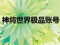 神将世界极品账号（神将世界极品账号密码）