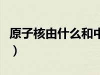 原子核由什么和中子组成（原子核由什么组成）