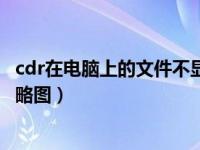 cdr在电脑上的文件不显示缩略图（为什么cdr文件不显示缩略图）