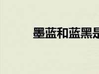 墨蓝和蓝黑是一个颜色吗（墨蓝）