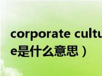 corporate culture定义（corporate culture是什么意思）