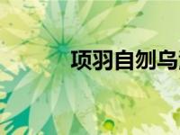 项羽自刎乌江片段（项羽自刎）