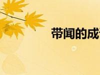 带闻的成语（带文的成语）