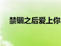 禁锢之后爱上你小说（禁锢之后再怜你）