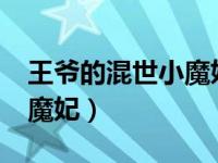 王爷的混世小魔妃百度云txt（王爷的混世小魔妃）