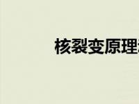核裂变原理动画（核裂变原理）