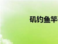 矶钓鱼竿价格（矶钓鱼竿）
