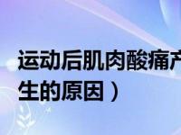 运动后肌肉酸痛产生机制（运动后肌肉酸痛产生的原因）