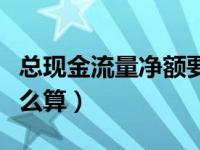 总现金流量净额要怎么填（总现金流量净额怎么算）