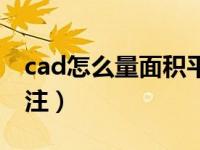 cad怎么量面积平方米（cad怎么量面积并标注）