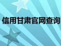 信用甘肃官网查询（信用甘肃官网查询系统）