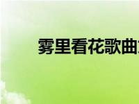雾里看花歌曲文案（雾里看花歌词）