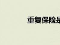 重复保险是什么（重复保险）