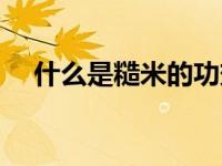 什么是糙米的功效与作用（什么是糙米）