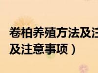 卷柏养殖方法及注意事项视频（卷柏养殖方法及注意事项）