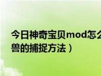 今日神奇宝贝mod怎么调神兽刷新率（神奇宝贝mod中神兽的捕捉方法）