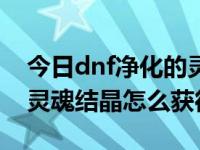 今日dnf净化的灵魂结晶怎么得（dnf净化的灵魂结晶怎么获得）