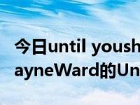 今日until youshayne ward歌词意思（求ShayneWard的Untilyou的歌词）
