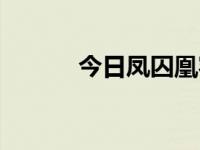 今日凤囚凰容止（凤求凰容止）