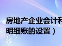 房地产企业会计科目（房地产企业会计科目及明细账的设置）