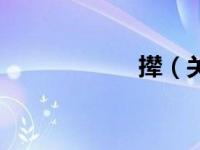 撵（关于撵的介绍）
