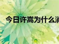 今日许嵩为什么消失了（许嵩死了是不是）