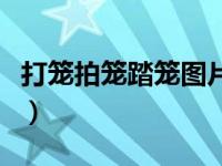 打笼拍笼踏笼图片大全（拍笼踏笼打笼竹鸟笼）