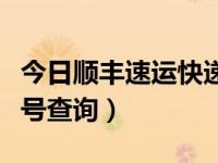 今日顺丰速运快递单号查询（顺丰速运快递单号查询）