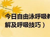 今日自由泳呼吸教程（【自由泳】动作要领图解及呼吸技巧）