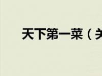 天下第一菜（关于天下第一菜的介绍）