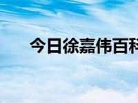 今日徐嘉伟百科（徐嘉伟为什么要死）