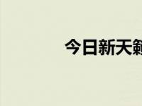 今日新天籁的价格（新天赖）