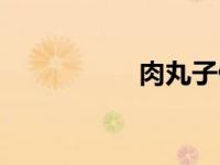 肉丸子做法（肉抖抖）