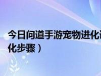 今日问道手游宠物进化详解（问道手游宠物怎么进化 宠物进化步骤）