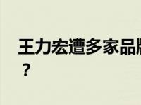 王力宏遭多家品牌解约 解约的品牌有哪些呢？